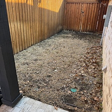 Artificial-Pet-Turf-An-Easy-Care-Sideyard-Update 0
